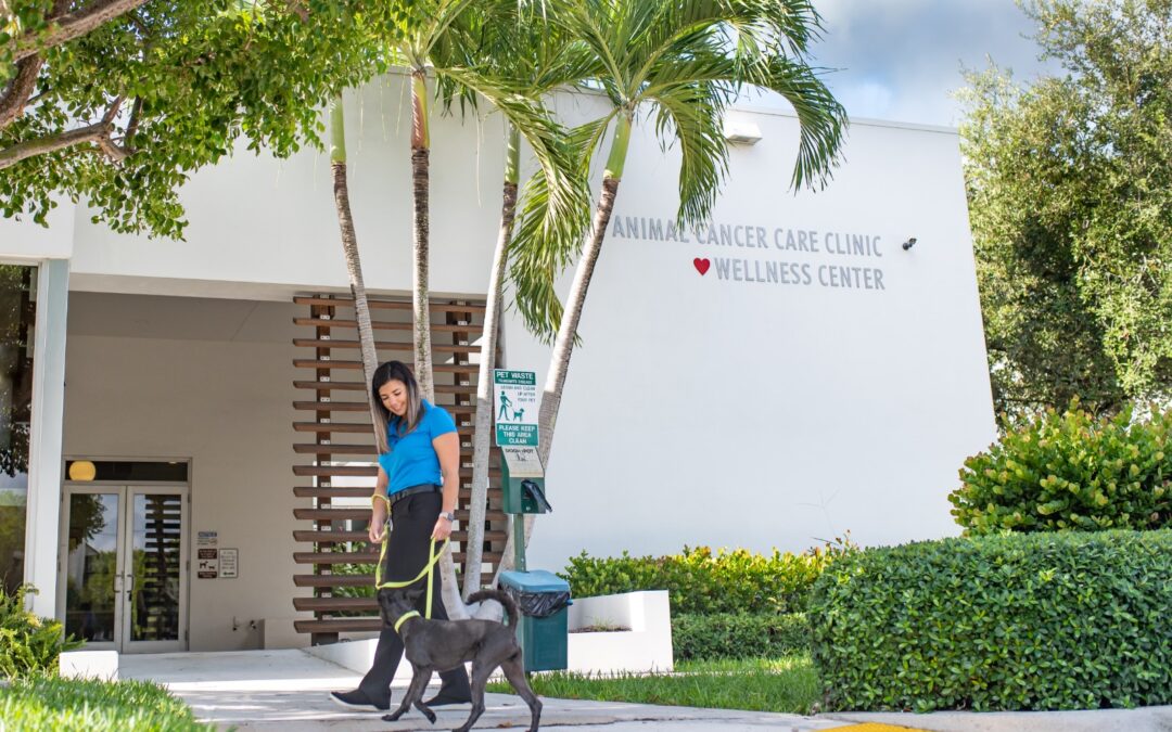 The Animal Cancer Care Clinic Story: 20 Years of Providing HOPE, CARE and Optimal OUTCOMES to Pets Facing Cancer